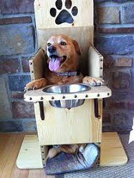 Canine Megaesophagus Canine Mega Esophagus Bailey Chair For Dogs Dogs Diy Projects Bailey Chairs