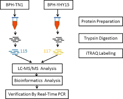 Itraq is a truly wireless device. Plos One Comparative Itraq Proteomic Profiling Of Proteins Associated With The Adaptation Of Brown Planthopper To Moderately Resistant Vs Susceptible Rice Varieties