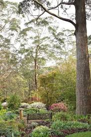 Tour A Mount Tomah Garden Filled With Rare Plants Gardens