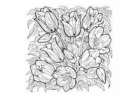 Maybe you would like to learn more about one of these? Kleurplaat Bloemen 50 Superleuke Gratis Kleurplaten Bloemen