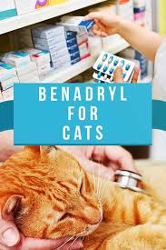 Benadryl For Cats What Is This Drug For And Is It Safe In 2020 Benadryl For Cats Benadryl Cats
