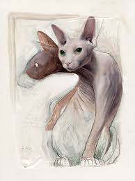 We are a hobby breeder in los angeles california dedicated to raising quality siberian kittens with loving personalities. Dare2b Bare Sphynx Dare2b Bare Sphynx Cattery