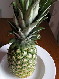 We did not find results for: Pastasciutta Die Ananas Lotterie