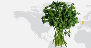 Le persil possède une importante action diurétique et une action dépurative générale. Persil Clarins