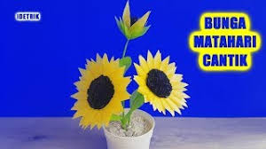 Kami secara berkesinambungan mengembangkan dan melakukan inovasi sehingga menghasilkan benih varietas baru yang berkualitas. Cara Membuat Bunga Matahari Yang Cantik Dari Kantong Plastik Youtube