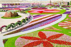 Dubai Miracle Garden World Biggest Flower Garden Miracle Garden Amazing Gardens Dubai Garden