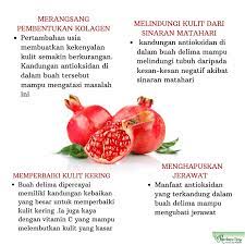 Selain akar delima, kulit buah delima juga memiliki khasiat untuk mengatasi penyakit cacingan. Rembayu Spa 4 Khasiat Buah Delima Untuk Kulit Buah Facebook