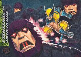 Image result for Grey 1994 Fleet