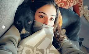 In old age, naps become romantic dates with the pillow."