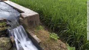 Image result for water irrigation