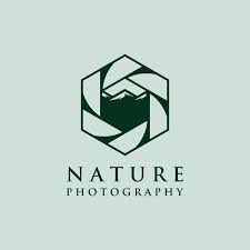  Gunung Sifat Luar Hijau Fotografi Logo Kamera Ikon Gambar Vektor Tangkap Foto Fokus Shutter Studio Digital Elemen Peralatan Vin Logo Fotografi Fotografi Simbol