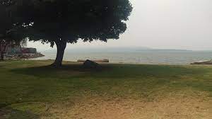 We did not find results for: Wa Marine Park Bellingham 3368 Park Rx America