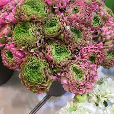Never pay more than you need to Folkloric Elixir To Pinterest Favorite So Lands The Charm Of The Enigmatic Ranunculus Stylewatch Flower Style Magazine