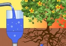 Check spelling or type a new query. Systeme D Irrigation Goutte A Goutte Pour Bouteilles En Plastique
