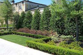 For those who don't want to have to maintain plants and who'd prefer some sort of fence, instead, that's also an option. Planting A Privacy Screen Landscaping Network