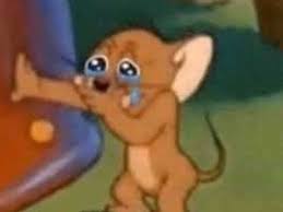 images?q=tbn:ANd9GcRn9e0mlHk9aVjvQZZVe4-