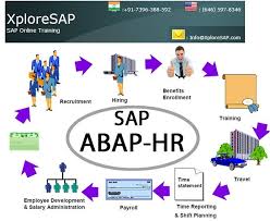 Online Training For Sap Abap Hr In India By Expert It Professionals Online Training Online Sap