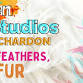 Fairmount Chardon Open Studios: Fins, Feathers, & Fur event image