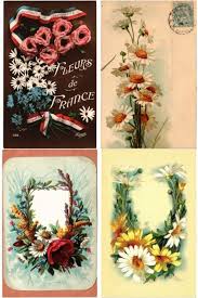 OXEYE DAISY FLOWER MARGUERITE 47 CPA (mostly pre-1940) (L3259)