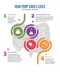 Image result for Fecal Transfer