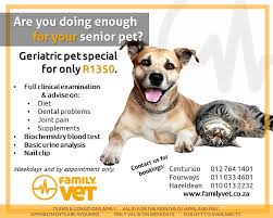 We did not find results for: Family Vet Clinic Facebook