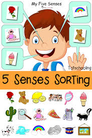 Five Senses Sorting Printable Totschooling Toddler