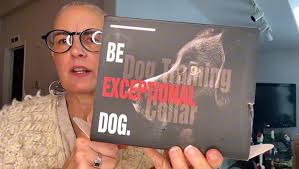 Amazon.com : DOGLinsen No Shock Dog Training Collar with Remote 3300ft  Range, Vibrating Dog Collar, Vibration Collar for Small Medium Large Dogs,  9 Style Tones and Vibration Collar : Pet Supplies