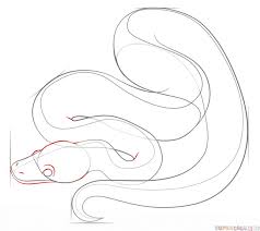 How To Draw A Ball Python Step By Step Drawing Tutorials For Kids And Beginners Drawing Tutorial Snake Drawing Drawing Tutorials For Kids
