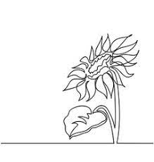 An easy way to do this is to create a circular border with a protractor and draw small circles along the curved line. Sunflower Line Drawing Vector Images Over 1 200