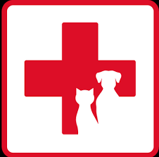 They use minimally invasive surgery, neuroradiology imaging like ct, mri, pet, meg. Animal Emergency Clinic Emergency Pet Hospital 1333 Wabash Ave Springfield Il Phone Number