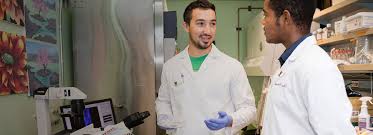 Protection sociale à l'accueil en france. Aides Individuelles France Alzheimer