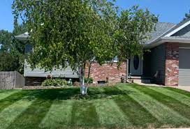 2522 n 109th ter, omaha, ne, 68164. Cross Cut Lawncare Lawn Care Services In Omaha Ne