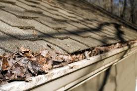 Alamo heights seamless gutter contractor. Gutter Cleaning Archives Gleam Team Window Cleaning San Antonio
