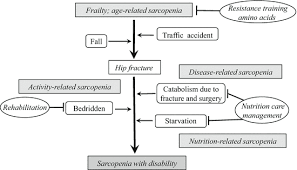 We did not find results for: Comprehensive Approach To Sarcopenia And Cachexia Treatment Musculoskeletal Key