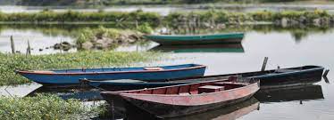 We did not find results for: Conditions De Navigation Sur Les Rivieres Avis A La Batellerie Observatoire De L Eau 49