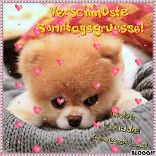 Https Encrypted Tbn0 Gstatic Com Images Q Tbn 3aand9gcqo2ggsjg17qmdhomqs B9zf7ac7a3tkkucew Usqp Cau