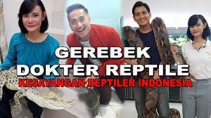 Heart person as his owner now. Dokter Reptile Langganan Irfan Hakim Lucky Hakim Youtube