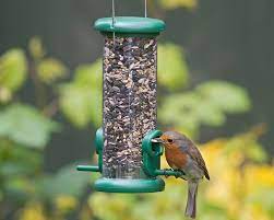 Other varieties of seed can help attract different types of birds to round out your backyard visitors. Wild Bird Food With No Wheat Or Fillers Peckamix