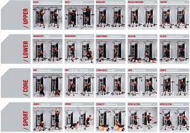 Exercises using a cable machine. Dual Adjustable Pulley Full Cable Machine Workout Cable Workout Smith Machine Workout