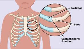 Pin On Get Healthy