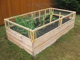 Diy Raised Bed With Removable Pest Gates Diy Raised Garden Raised Garden Beds Raised Beds