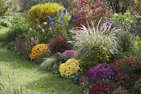 Die Schonsten Herbstbluher Das Haus Pflanzen Garten Garten Ideen
