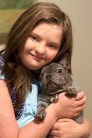 Faux succulent frenchie auction details