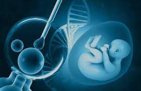 Is it true that Christianity frowns upon IVF? I'm a few years away from  wanting to start my family and understand that it is on gods timing. I  believe this full heartedly,