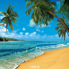 الشاطئ الساحلية أشجار جوز الهند التصوير الخلفية القماش الفينيل صورة خلفية التصوير Studio خلفي Beach Backdrop Background For Photography Beautiful Beaches