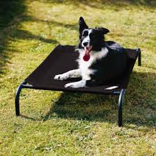 We did not find results for: 10 Off Coolaroo Elevated Knitted Fabric Pet Bed Charcoal Black Kohepets
