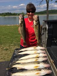 The moon is 19 days old. Walleye The New Fish In Town