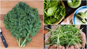 Check spelling or type a new query. 8 Sayuran Hijau Yang Paling Sehat Di Bumi Dan Rugi Kalau Dilewatkan Tiap Hari Superfood Nih