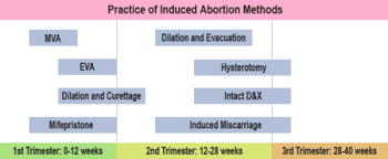 Passo a passo dicas e informações atualizadas sobre como fazer um aborto seguro usando cytotec / misoprostol. Aborto Inducido Wikipedia La Enciclopedia Libre