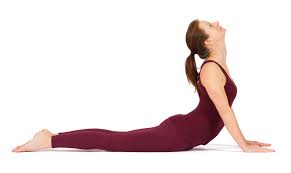 We did not find results for: Vinyasa In Der Yoga Vidya Grundreihe Geht Das Yoga Vidya Blog Yoga Meditation Und Ayurveda